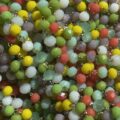 Multicolore